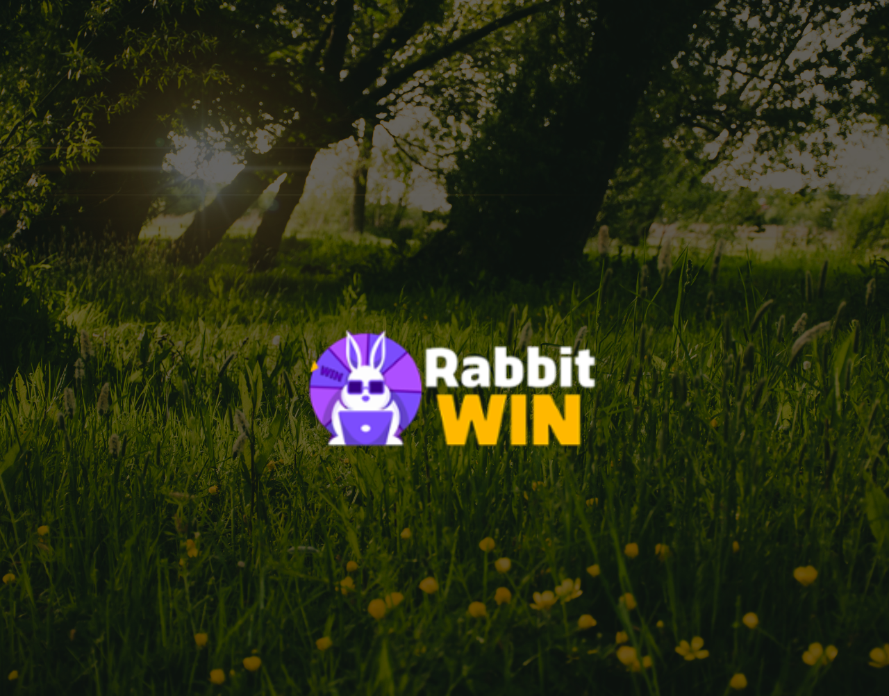 Rabbit Win Casino: The Ultimate Review