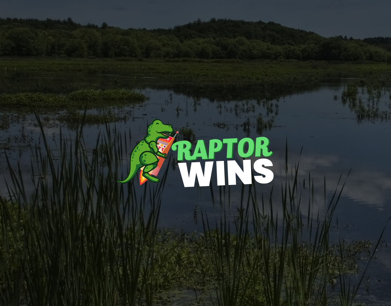 Comprehensive Review: Raptor Wins Casino